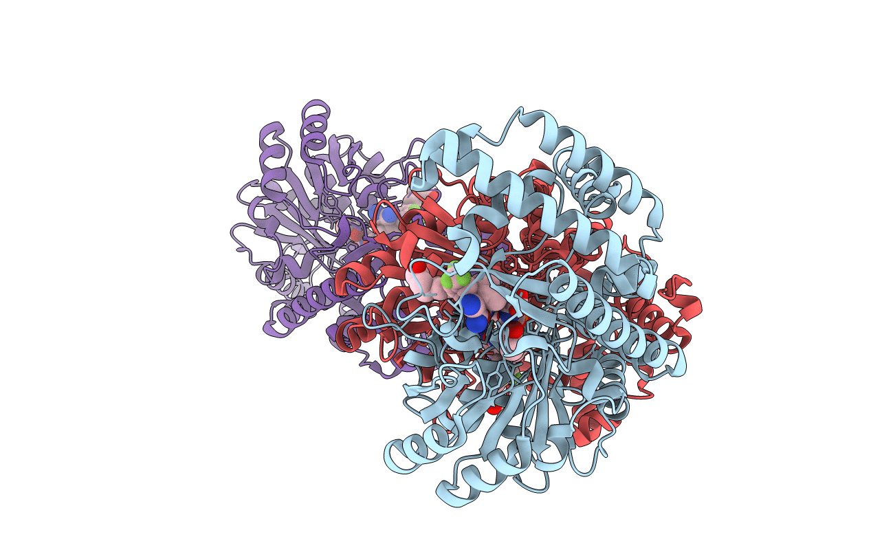5GVP image