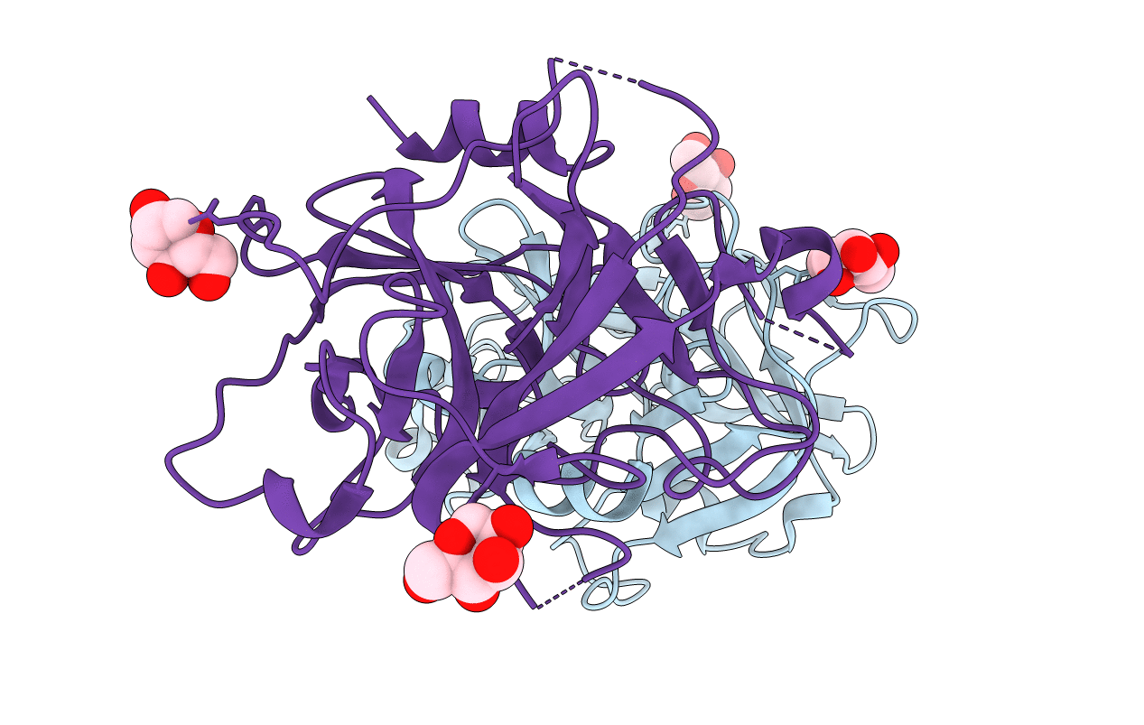 5GVT image