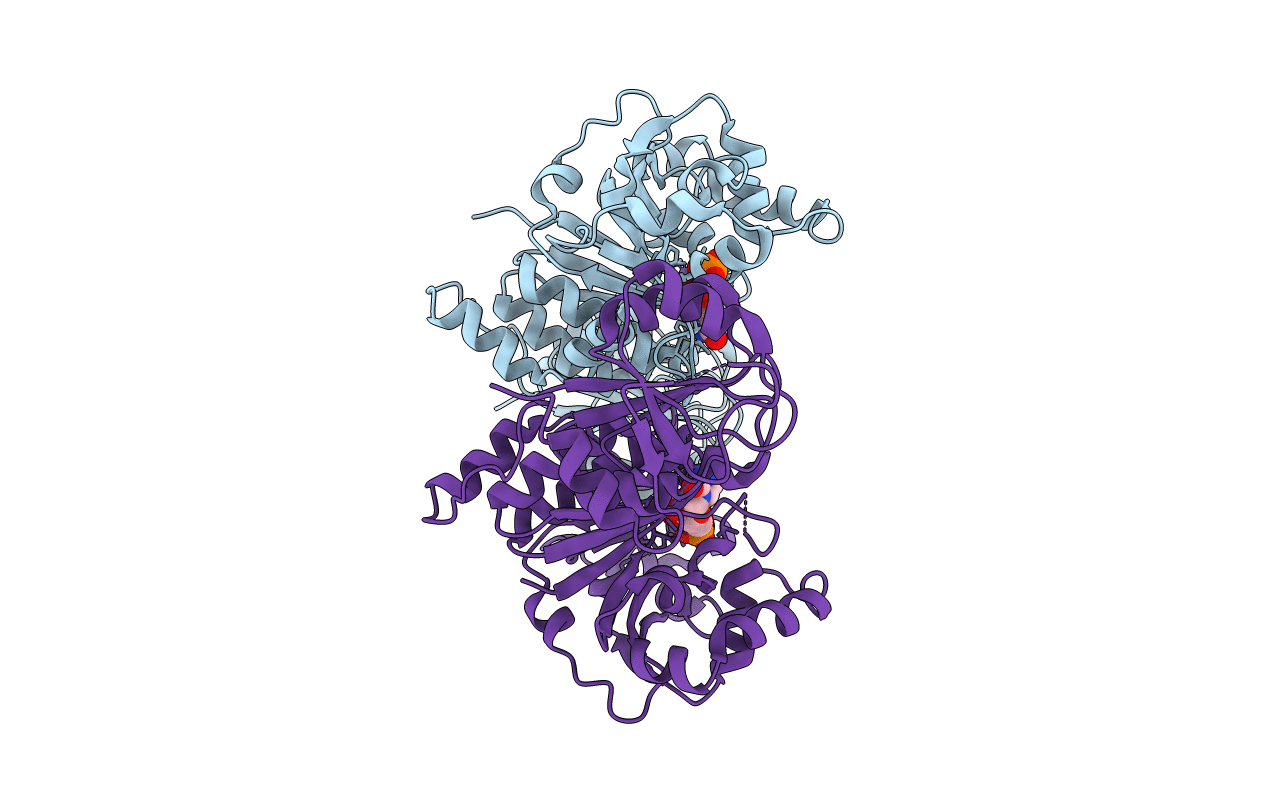 5GVV image