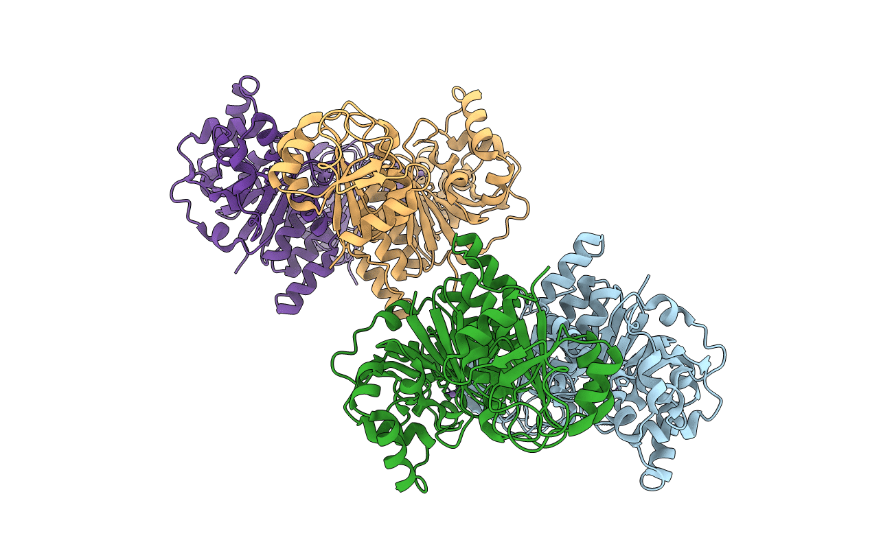 5GVW image