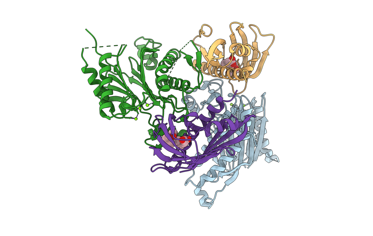 5GWP image