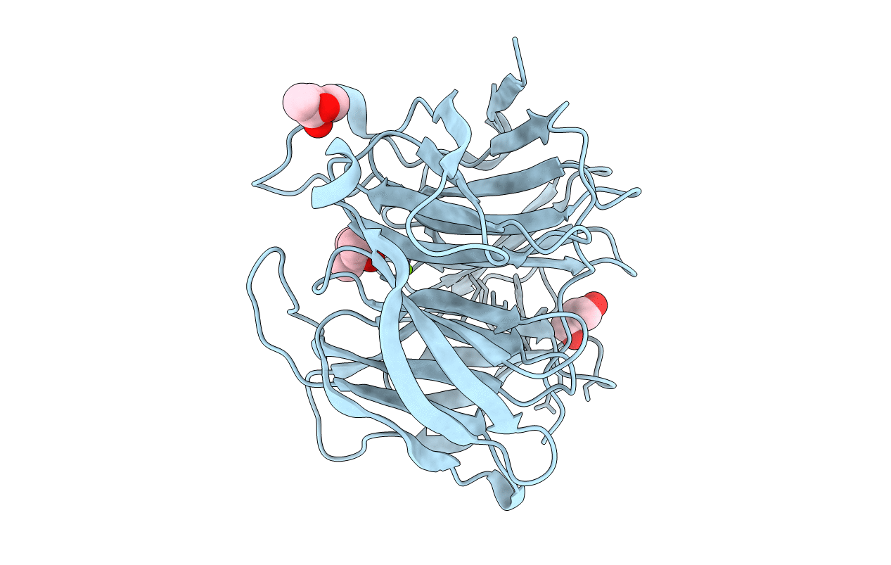 5GX3 image