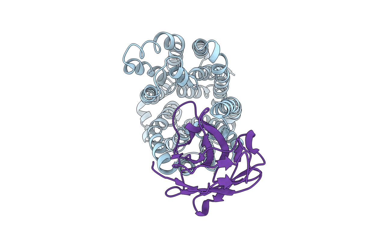 5GXB image