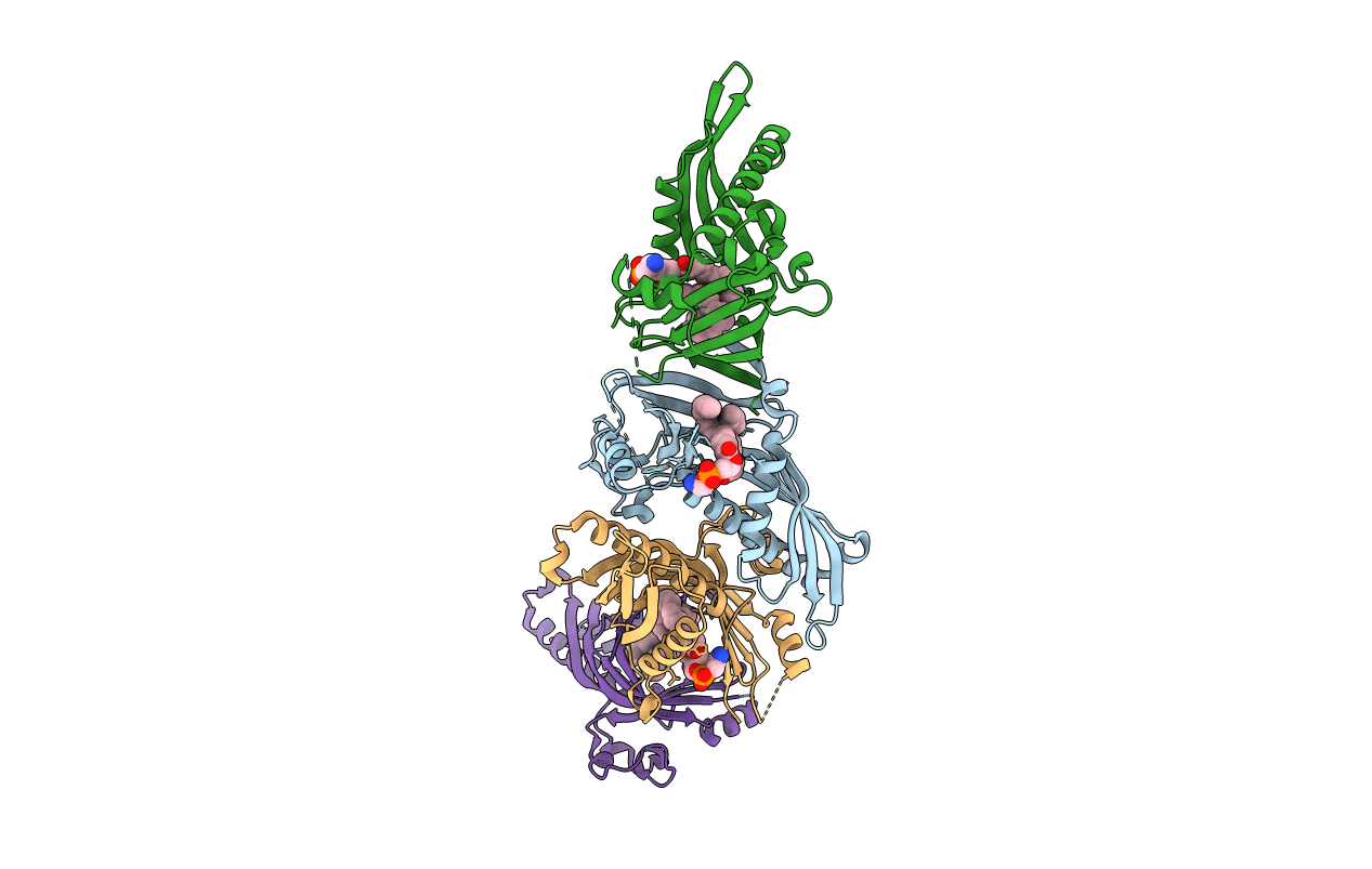 5GYD image
