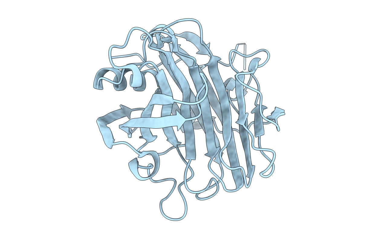 5GYE image