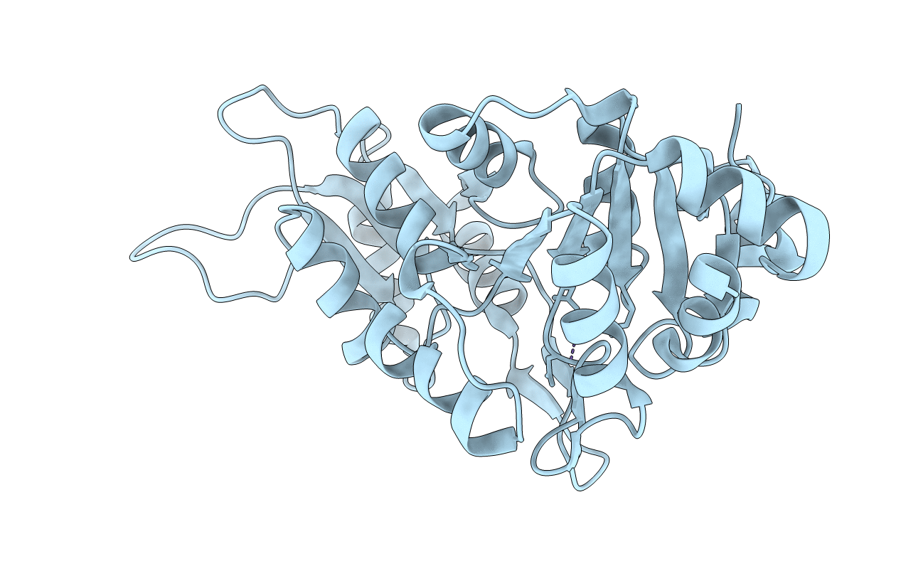 5GYN image