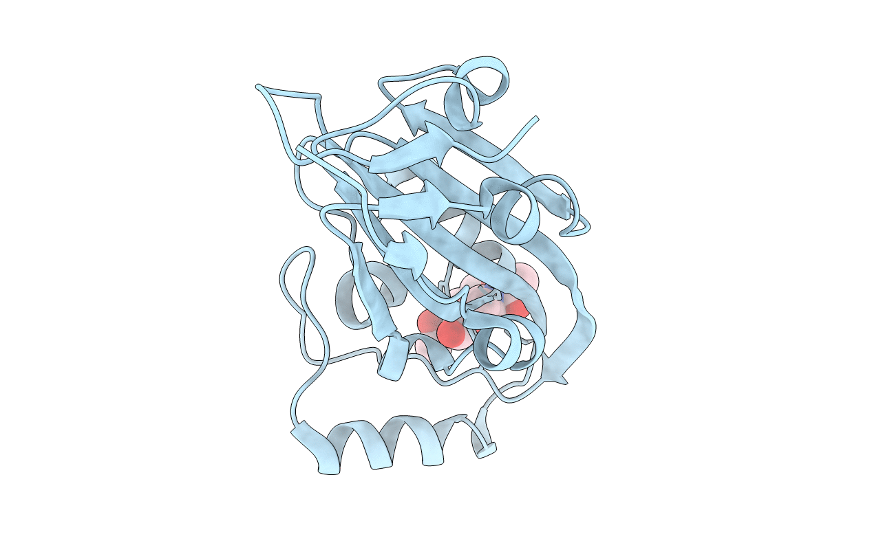 5GYQ image