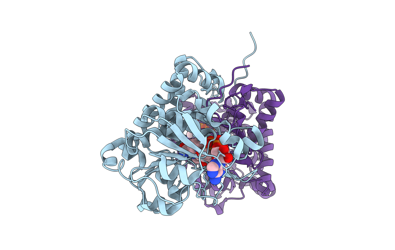5GZI image