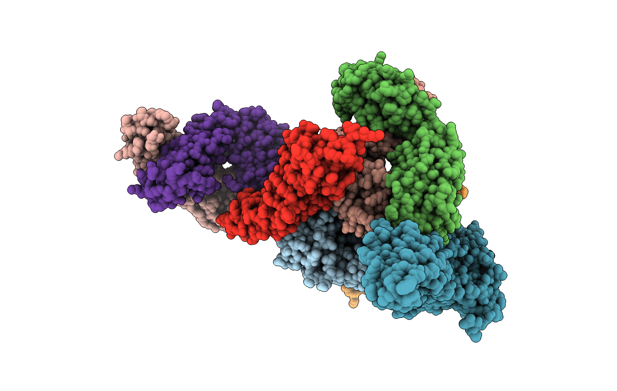 5GZN image