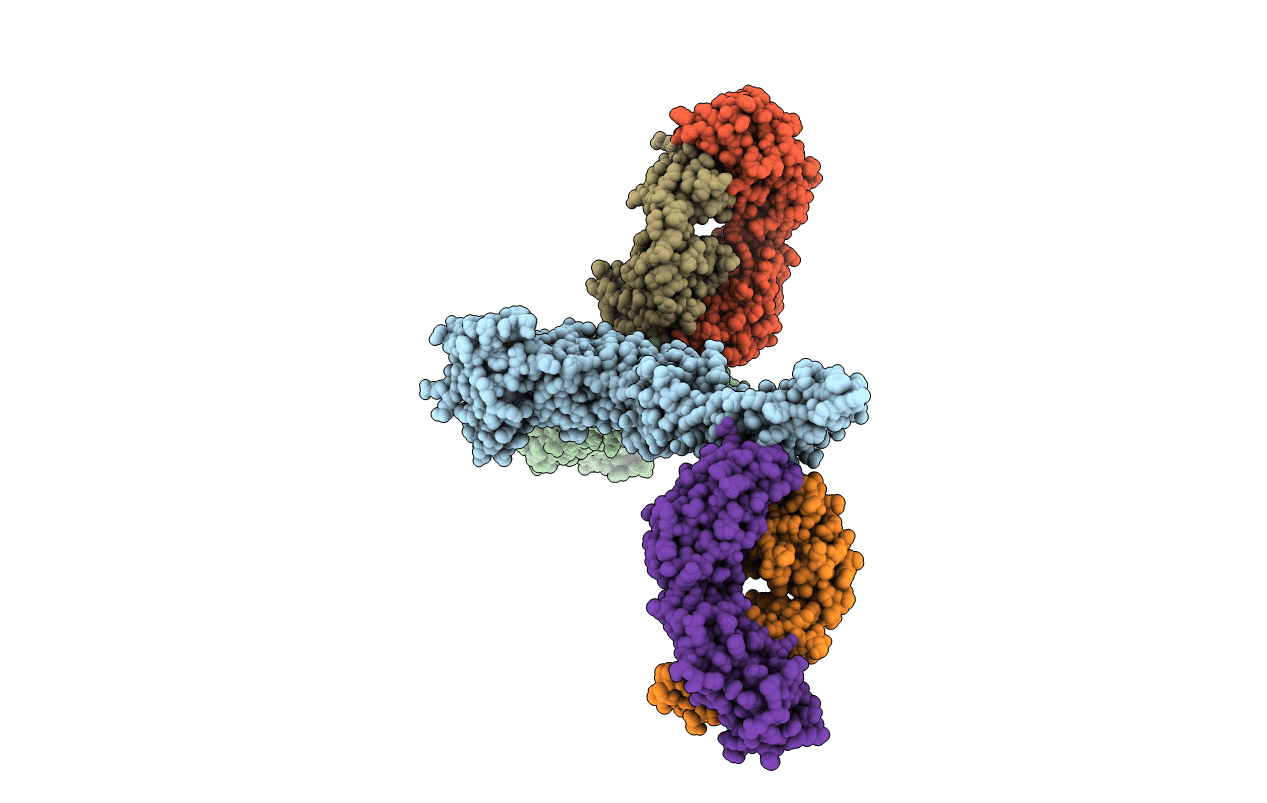 5GZO image