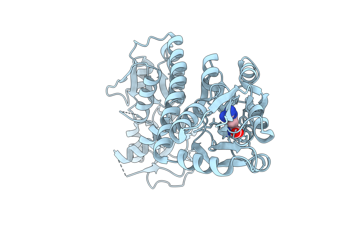 5GZS image