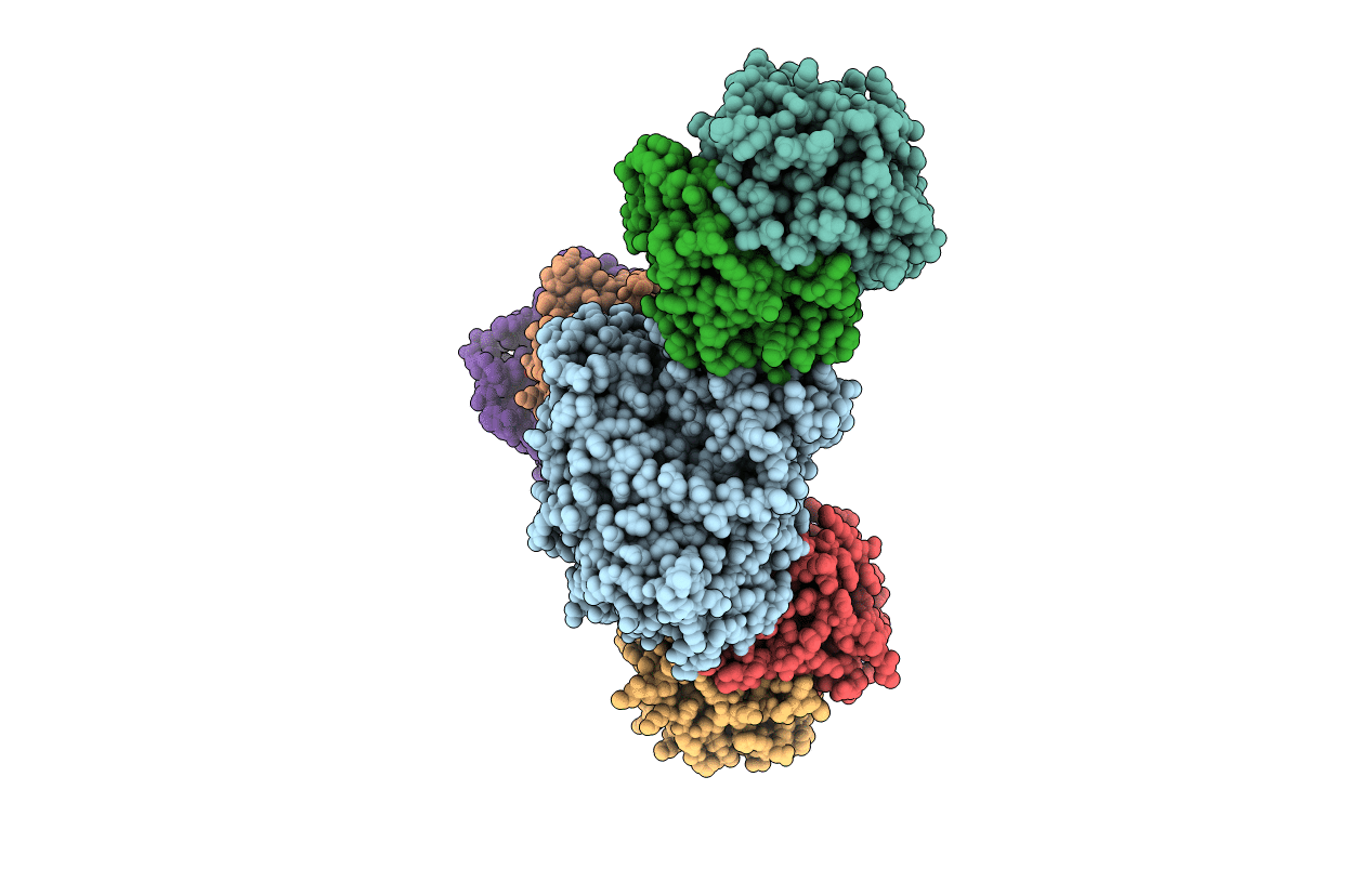 5GZZ image
