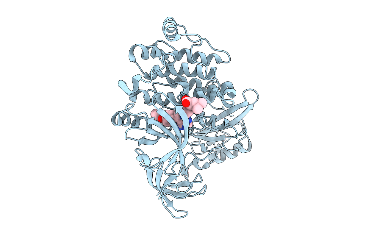 5H0B image