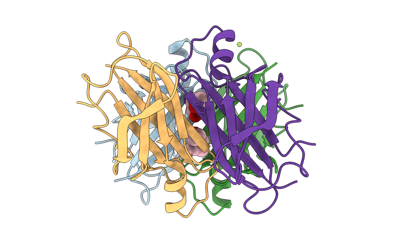 5H0V image