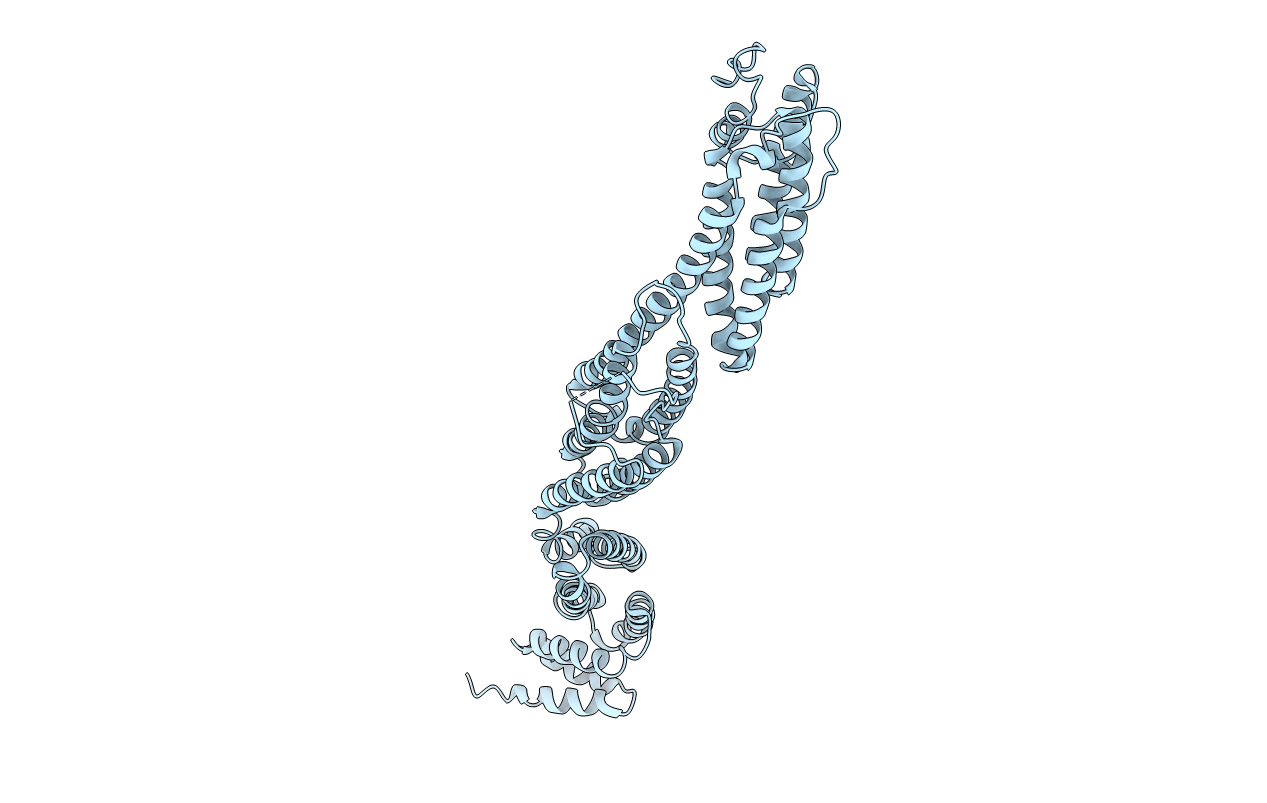 5H11 image