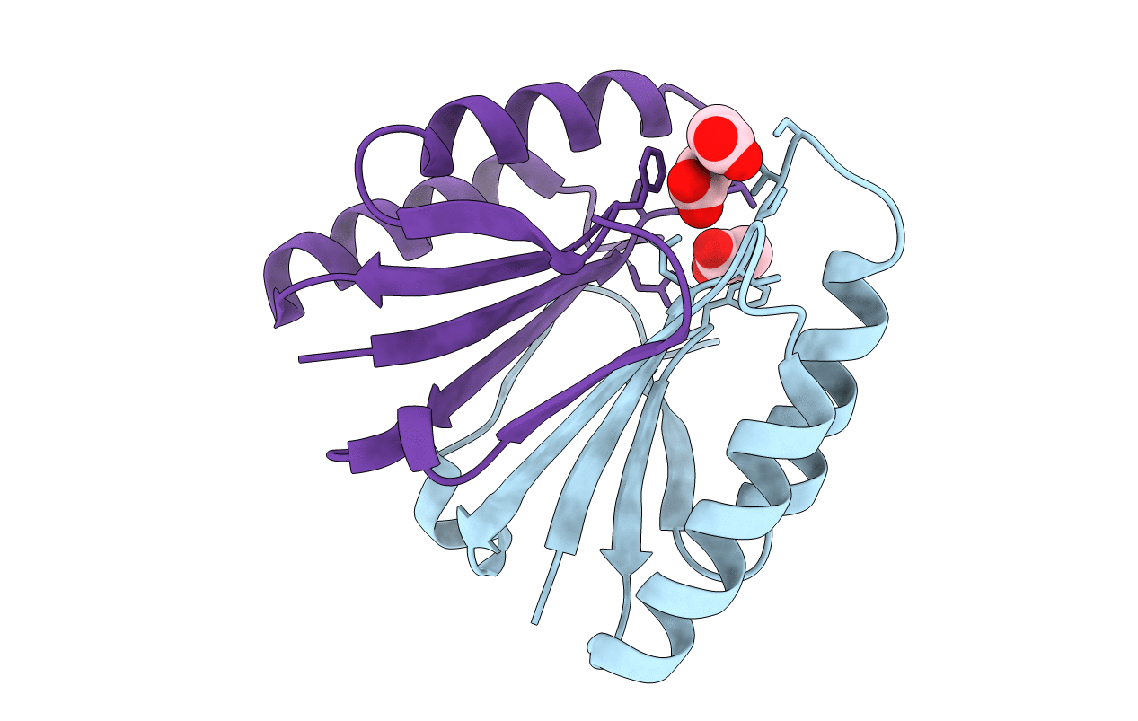 5H1O image
