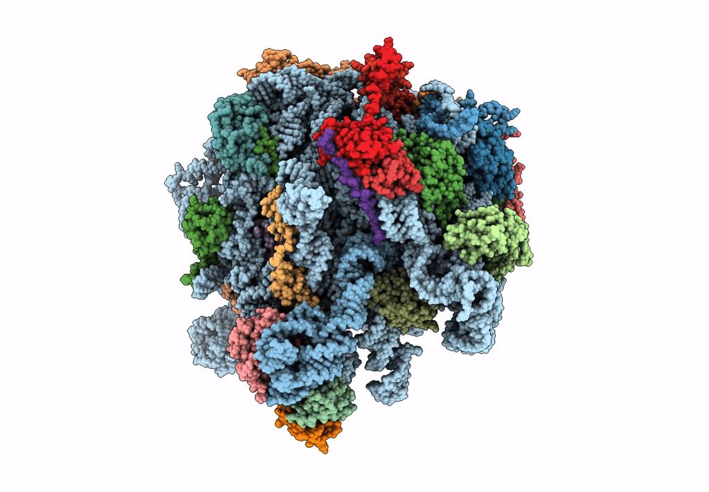 5H1S image