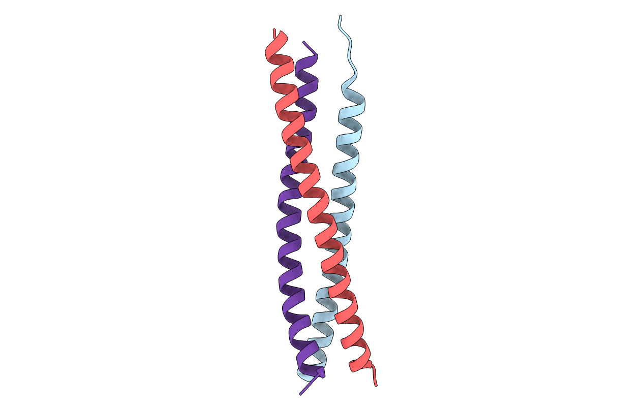 5H1X image