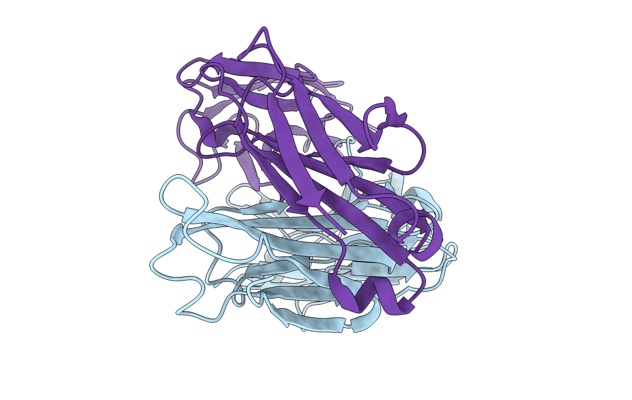 5H2B image