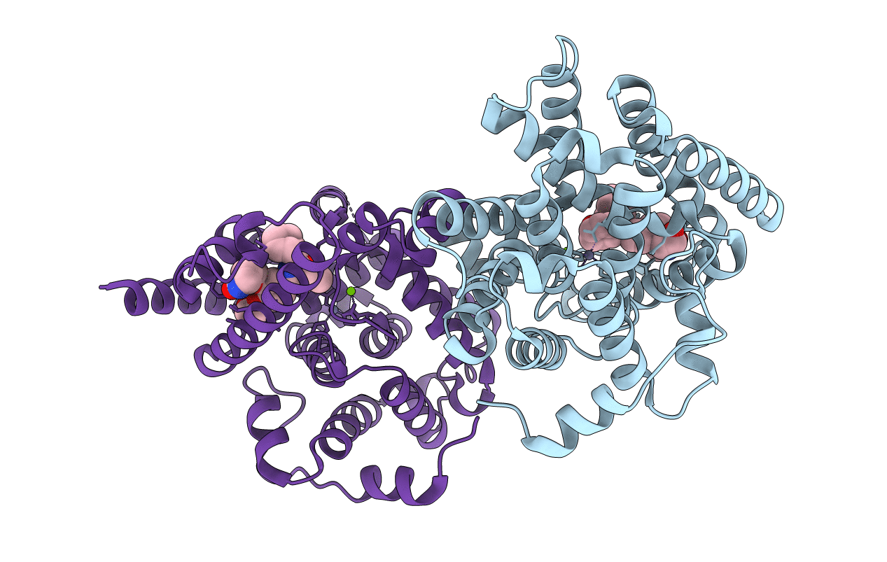 5H2R image
