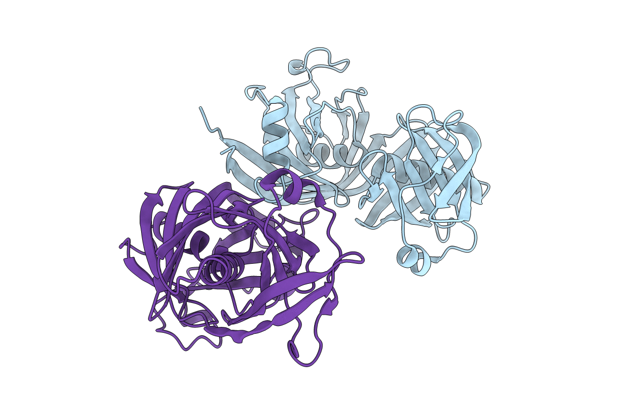 5H2Y image