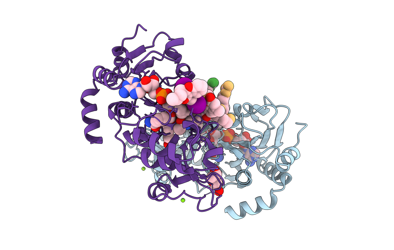 5H4D image