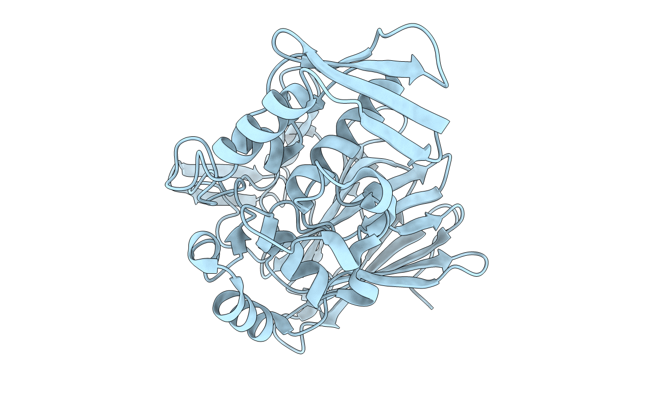 5H4E image