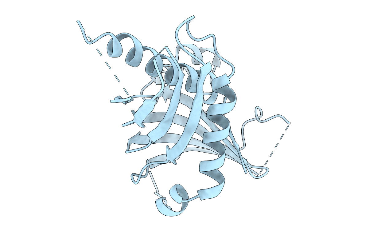 5H5C image