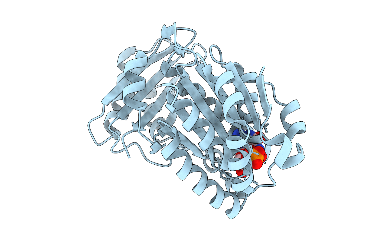 5H5I image