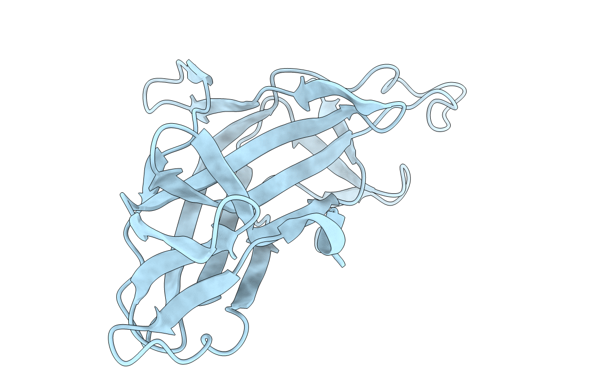 5H5P image