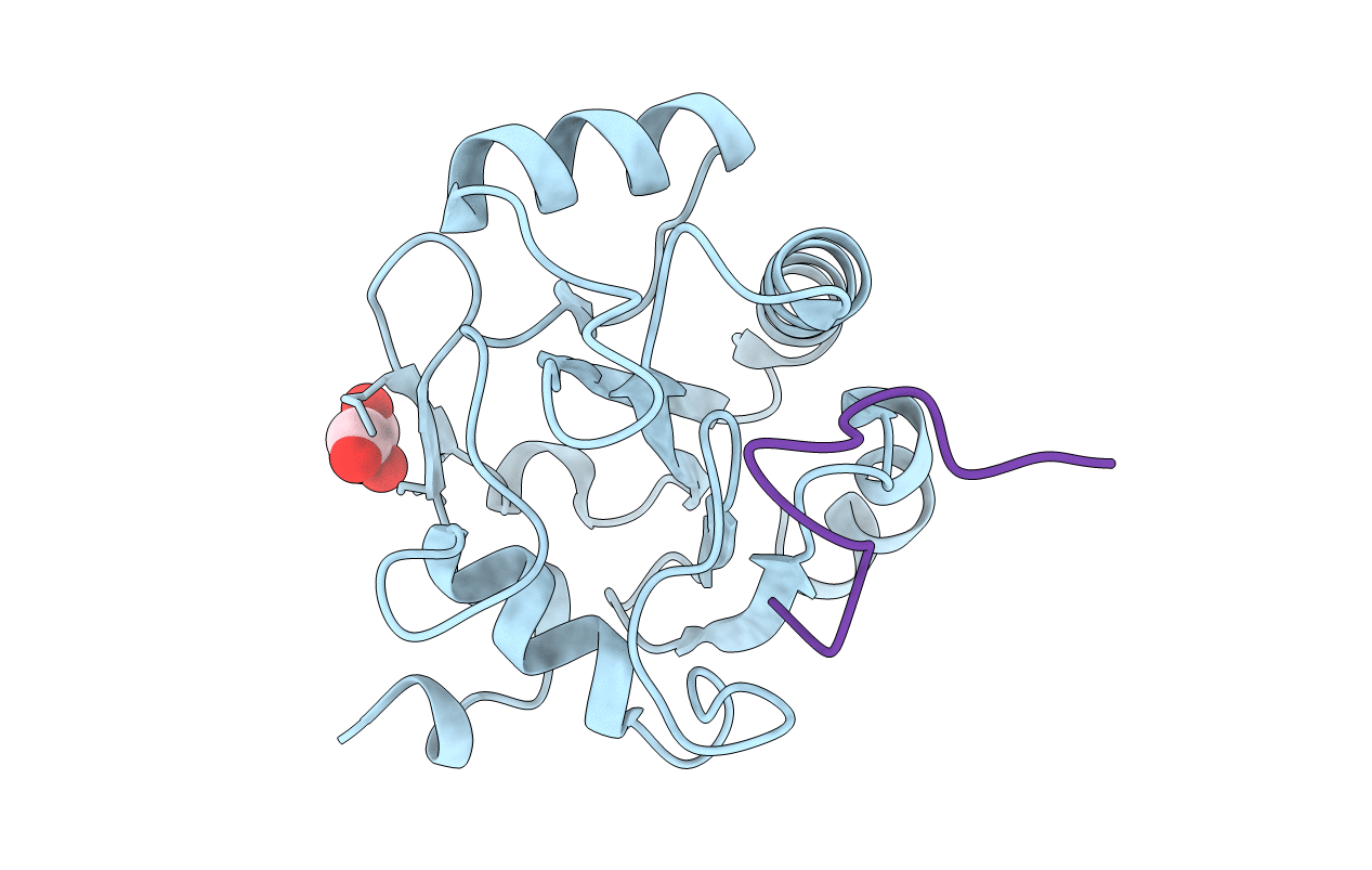 5H5S image