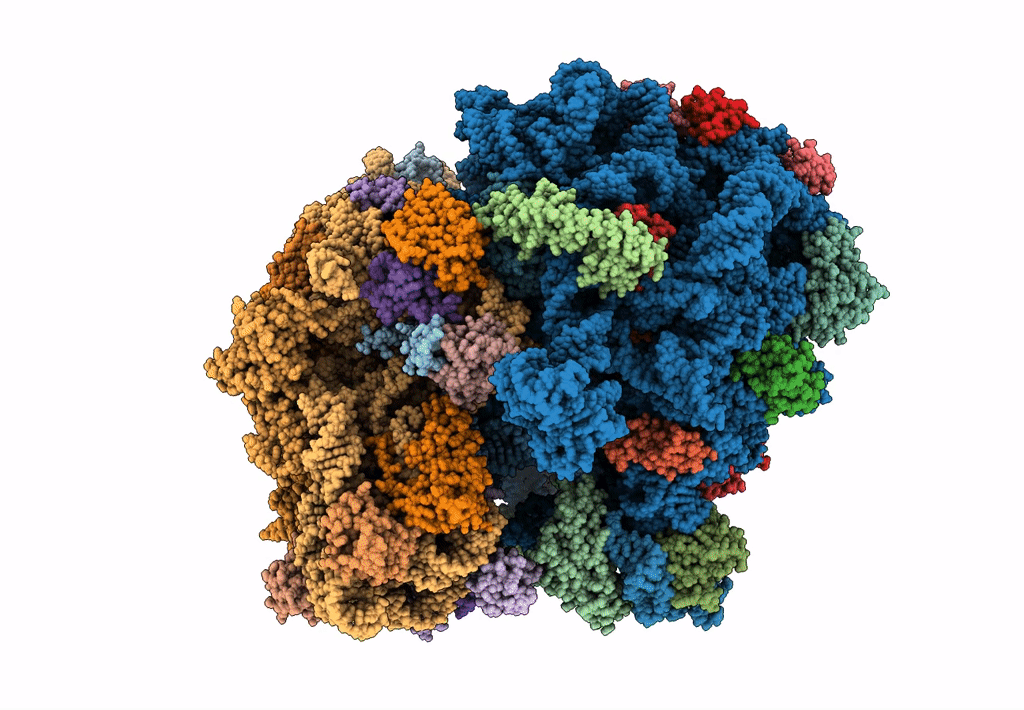 5H5U image