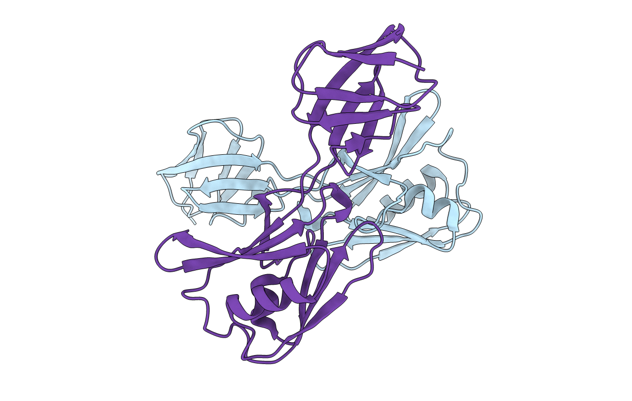 5H5W image