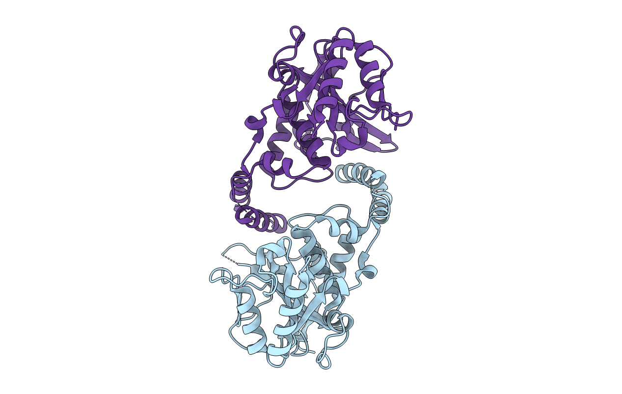 5H61 image