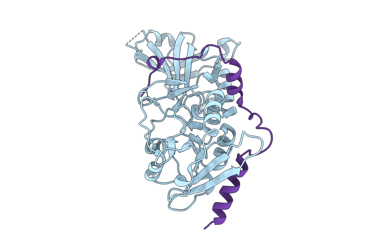 5H65 image