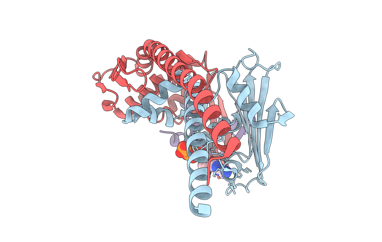 5H67 image