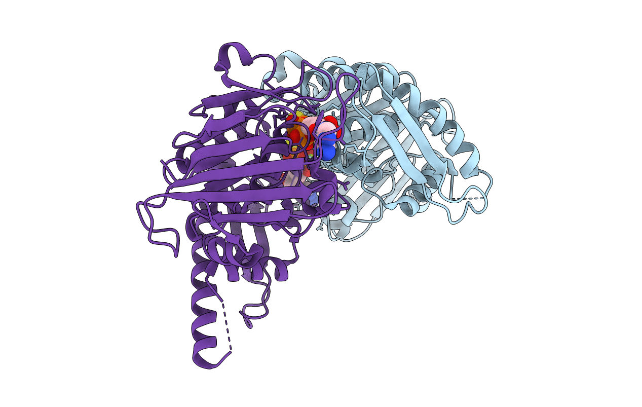 5H68 image