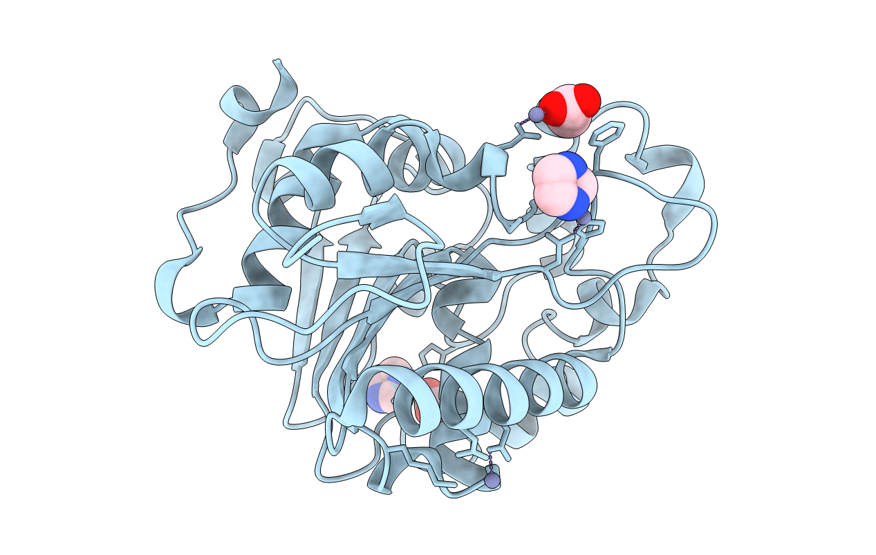 5H6B image