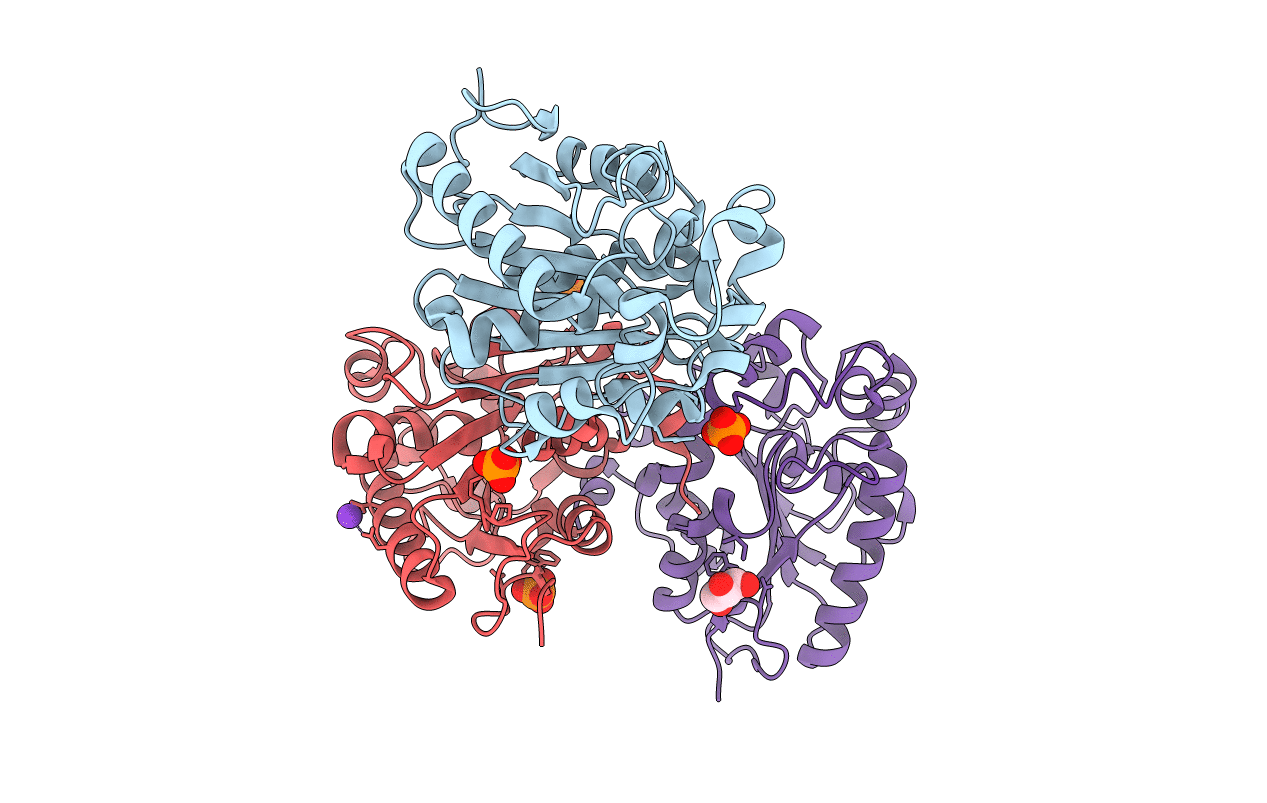 5H6G image