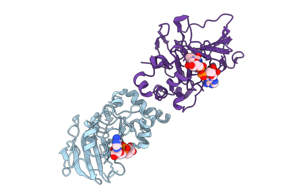 5H6J image