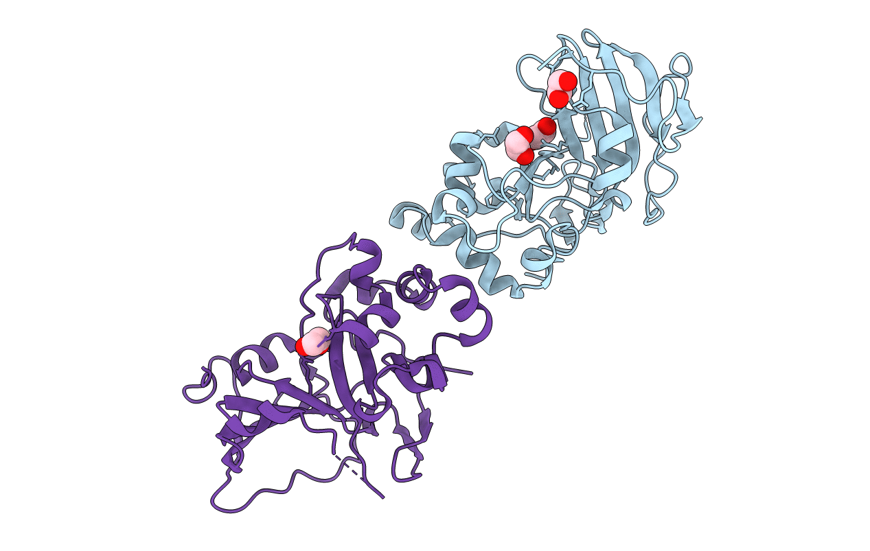 5H6K image