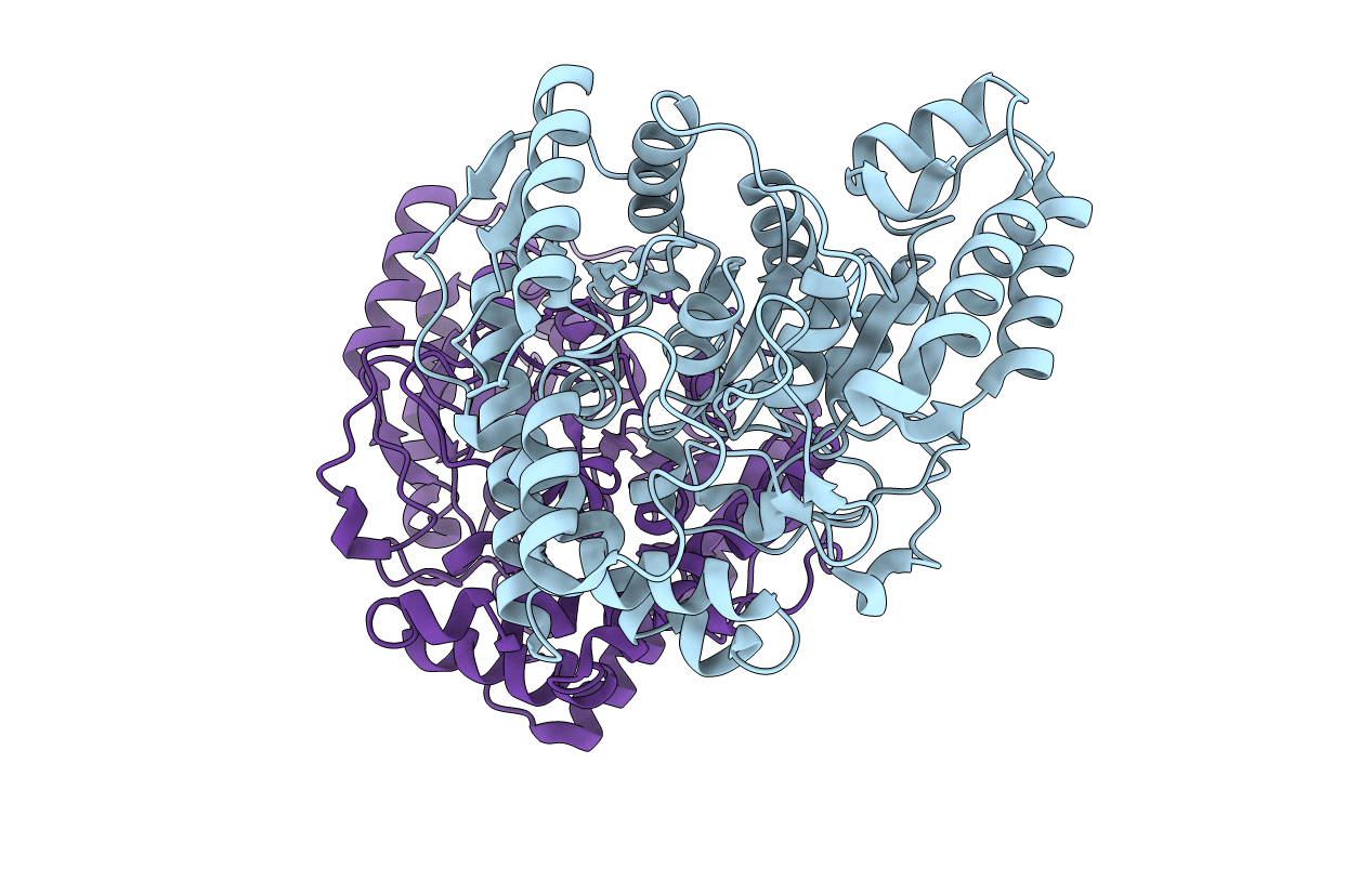 5H6T image