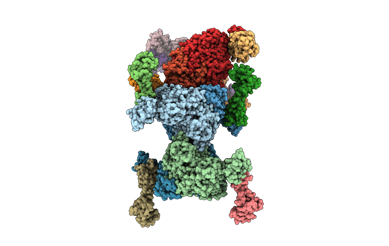 5H7D image