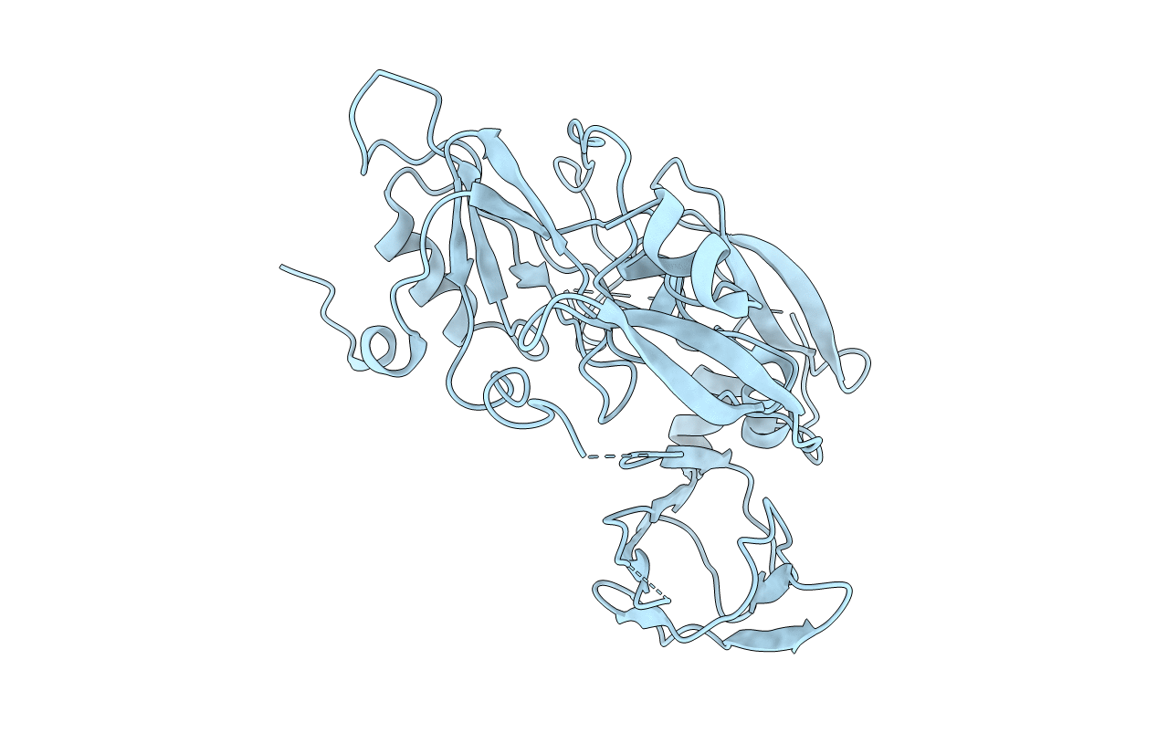 5H7V image