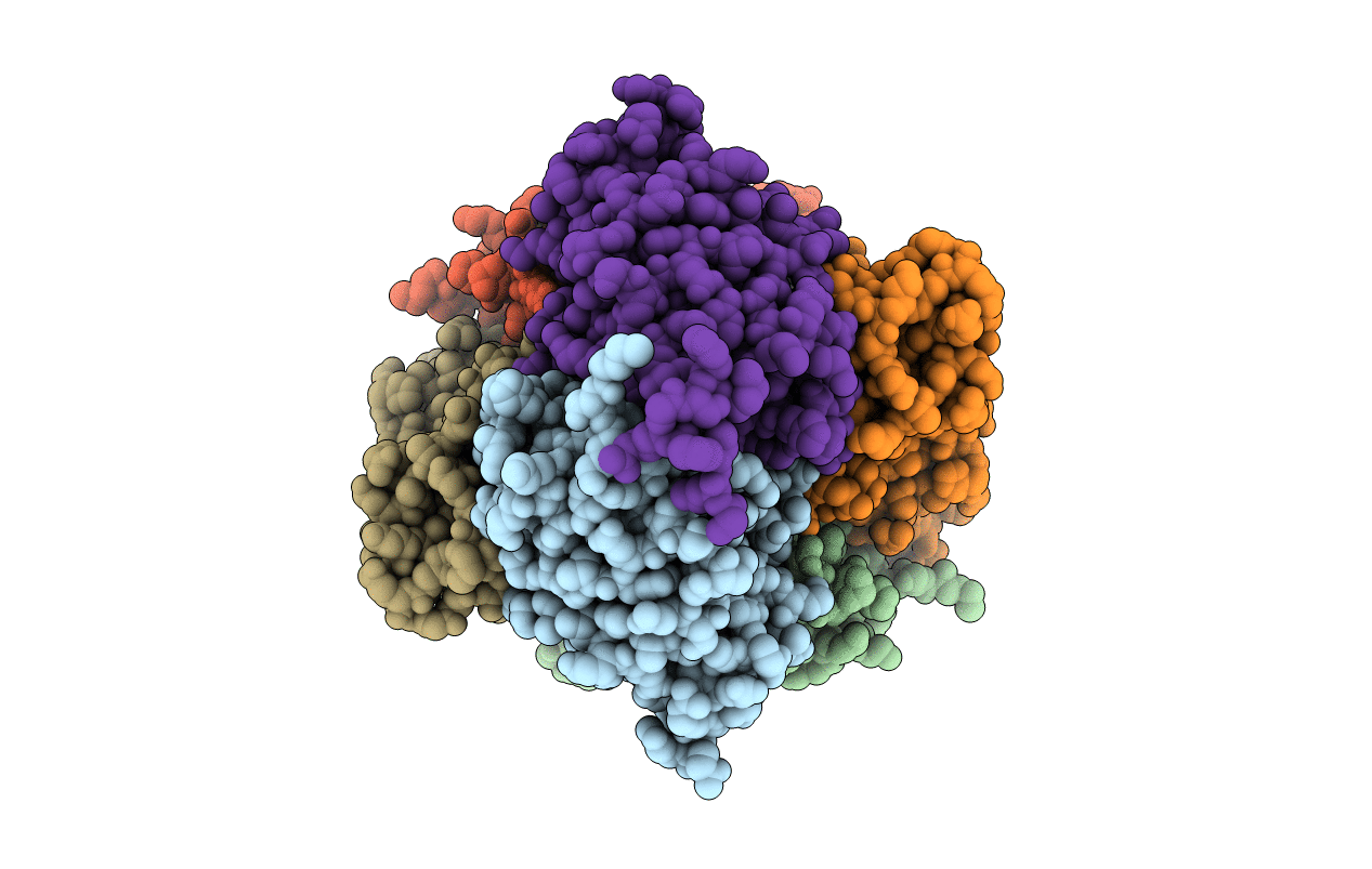 5H7X image