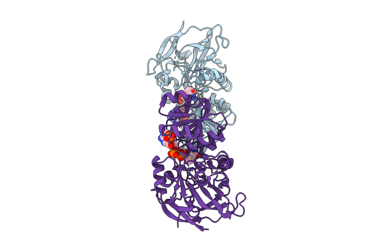 5H81 image