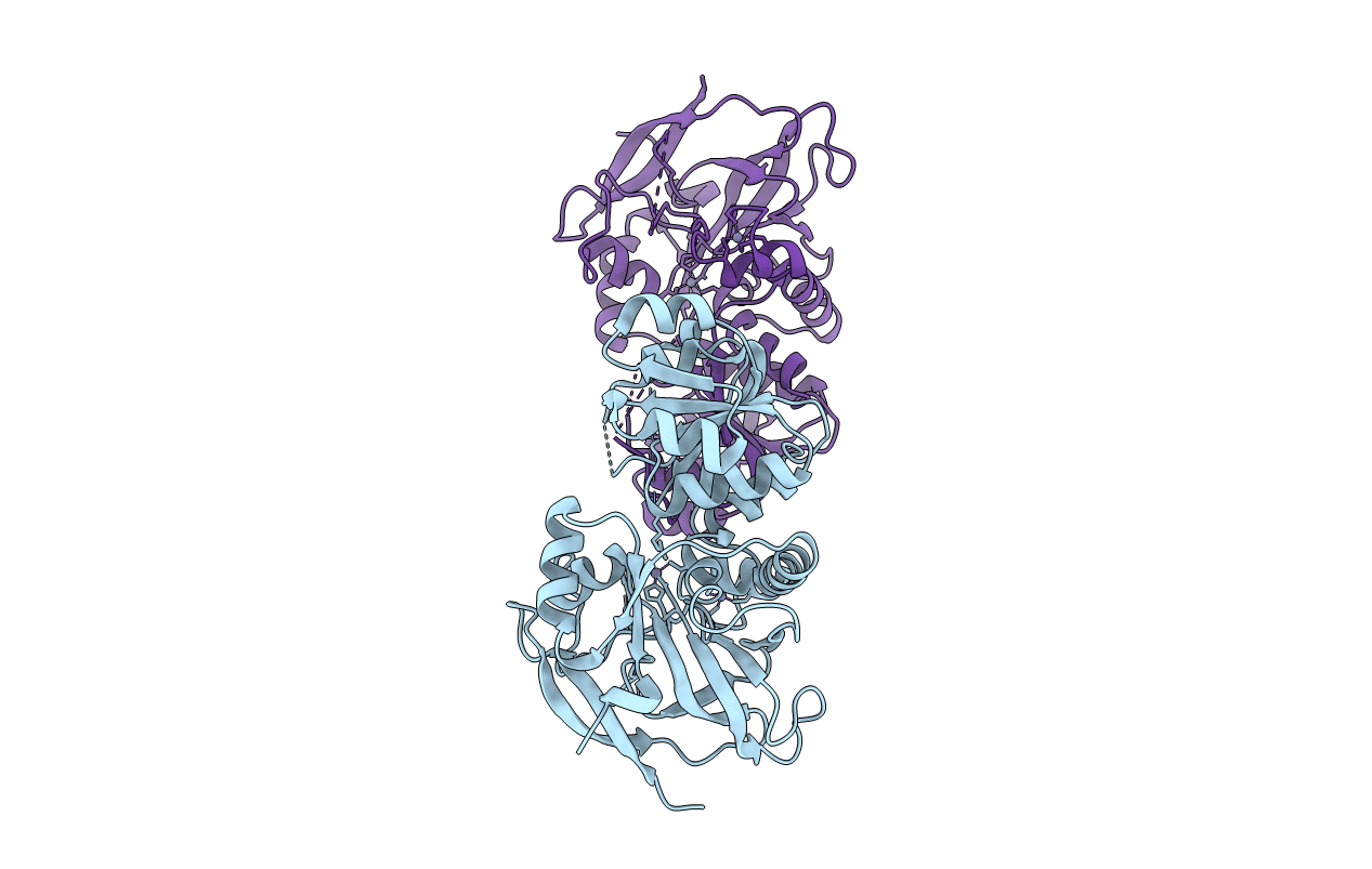 5H82 image