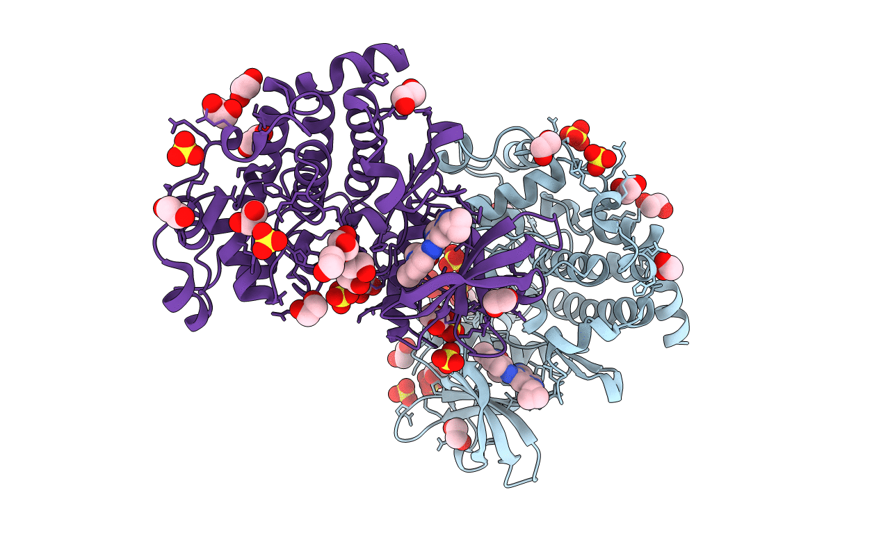 5H8B image