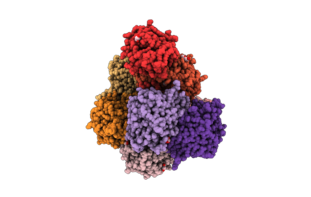5H8K image