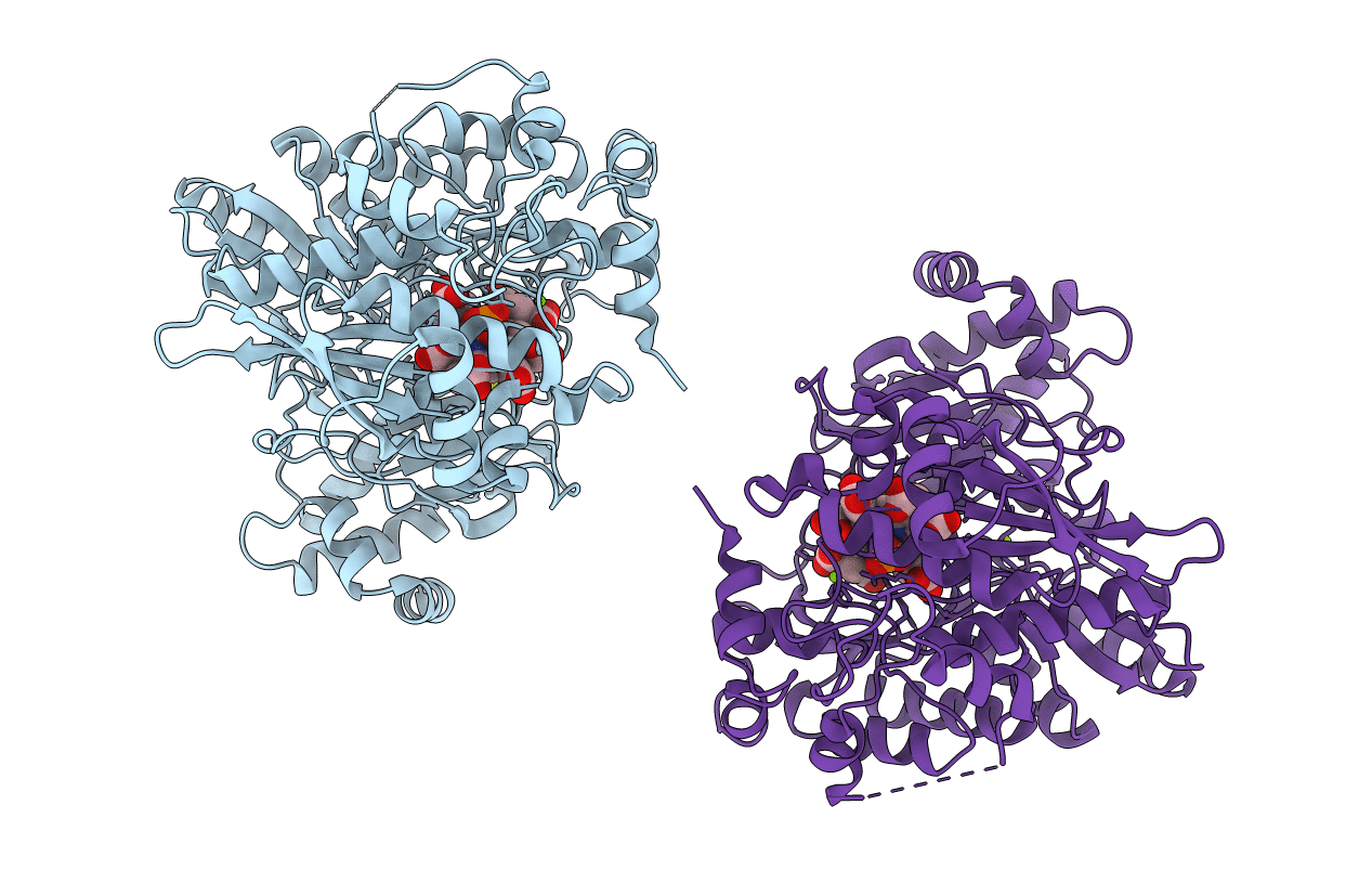 5H8V image